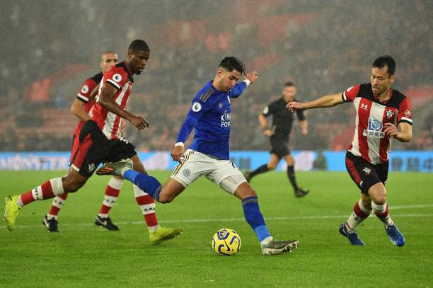 有许多相似 有许多相似