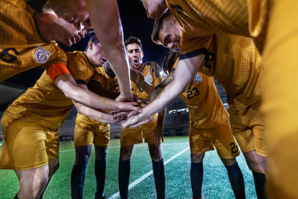 积极乐观的 积极乐观的